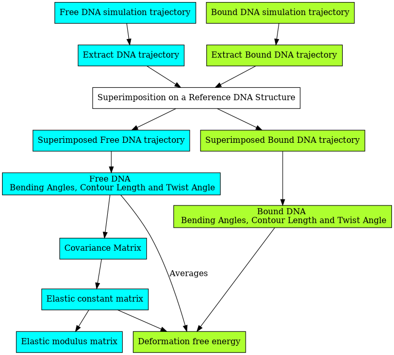 digraph {
     size = "8,12"
     node [shape=box style=filled]

     a -> b-> c -> d -> e -> f -> g -> h
     i -> j -> c -> k -> l -> m
     e -> m [label = "Averages"]
     g -> m

     a [ fillcolor=cyan label = "Free DNA simulation trajectory"];
     b [ fillcolor=cyan label = "Extract DNA trajectory"];
     c [ fillcolor=none        label = "Superimposition on a Reference DNA Structure"];
     d [ fillcolor=cyan label = "Superimposed Free DNA trajectory"];
     e [ fillcolor=cyan label = "Free DNA \n Bending Angles, Contour Length and Twist Angle"];
     f [ fillcolor=cyan label = "Covariance Matrix"];
     g [ fillcolor=cyan label = "Elastic constant matrix"]
     h [ fillcolor=cyan label = "Elastic modulus matrix"];

     i [ fillcolor=greenyellow label = "Bound DNA simulation trajectory"];
     j [ fillcolor=greenyellow label = "Extract Bound DNA trajectory"];
     k [ fillcolor=greenyellow label = "Superimposed Bound DNA trajectory"];
     l [ fillcolor=greenyellow label = "Bound DNA \n Bending Angles, Contour Length and Twist Angle"];
     m [ fillcolor=greenyellow label = "Deformation free energy"];

}